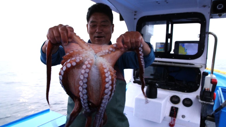 동해물회 이미지