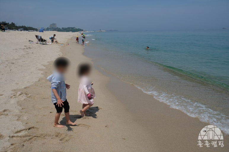 솔향기바다 이미지