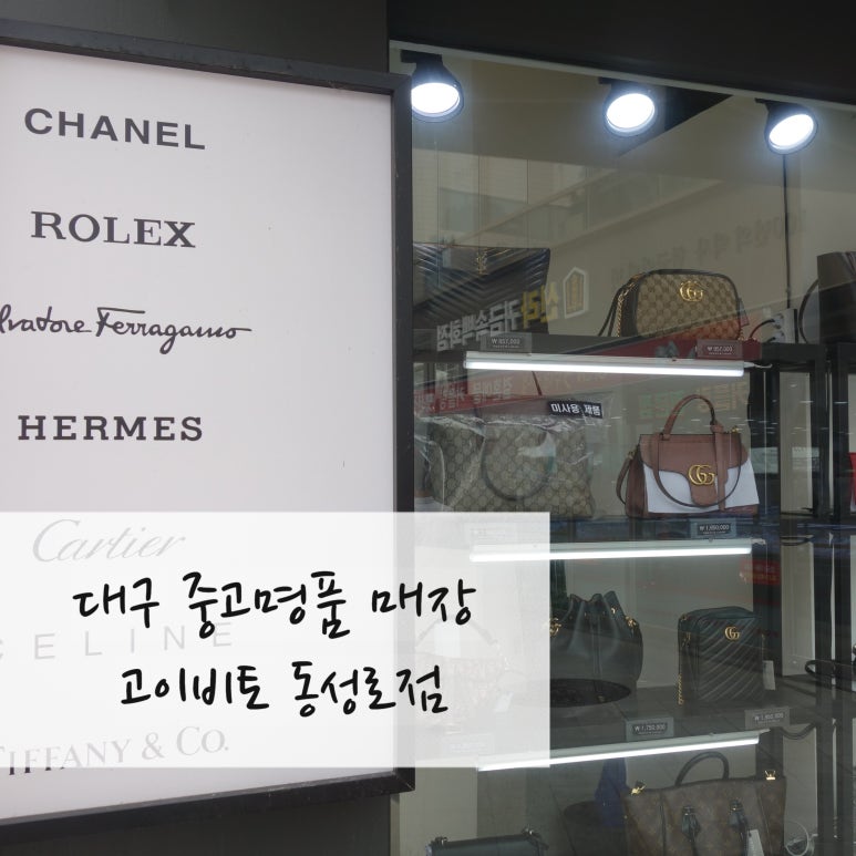 고이비토대구모다 이미지