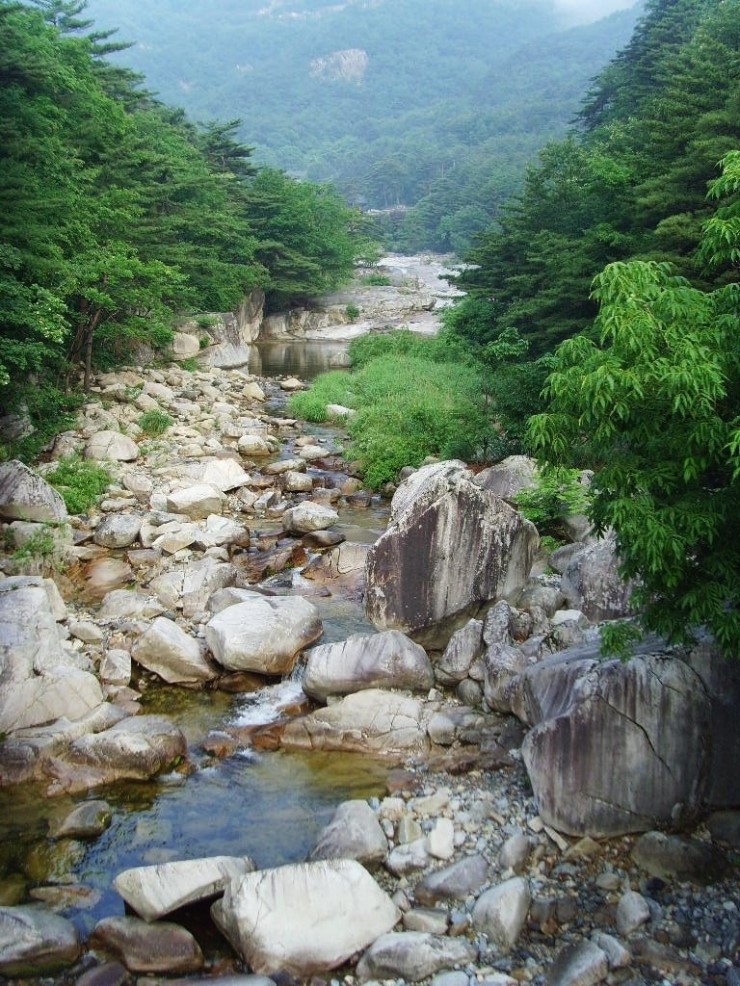 무릉이가 이미지