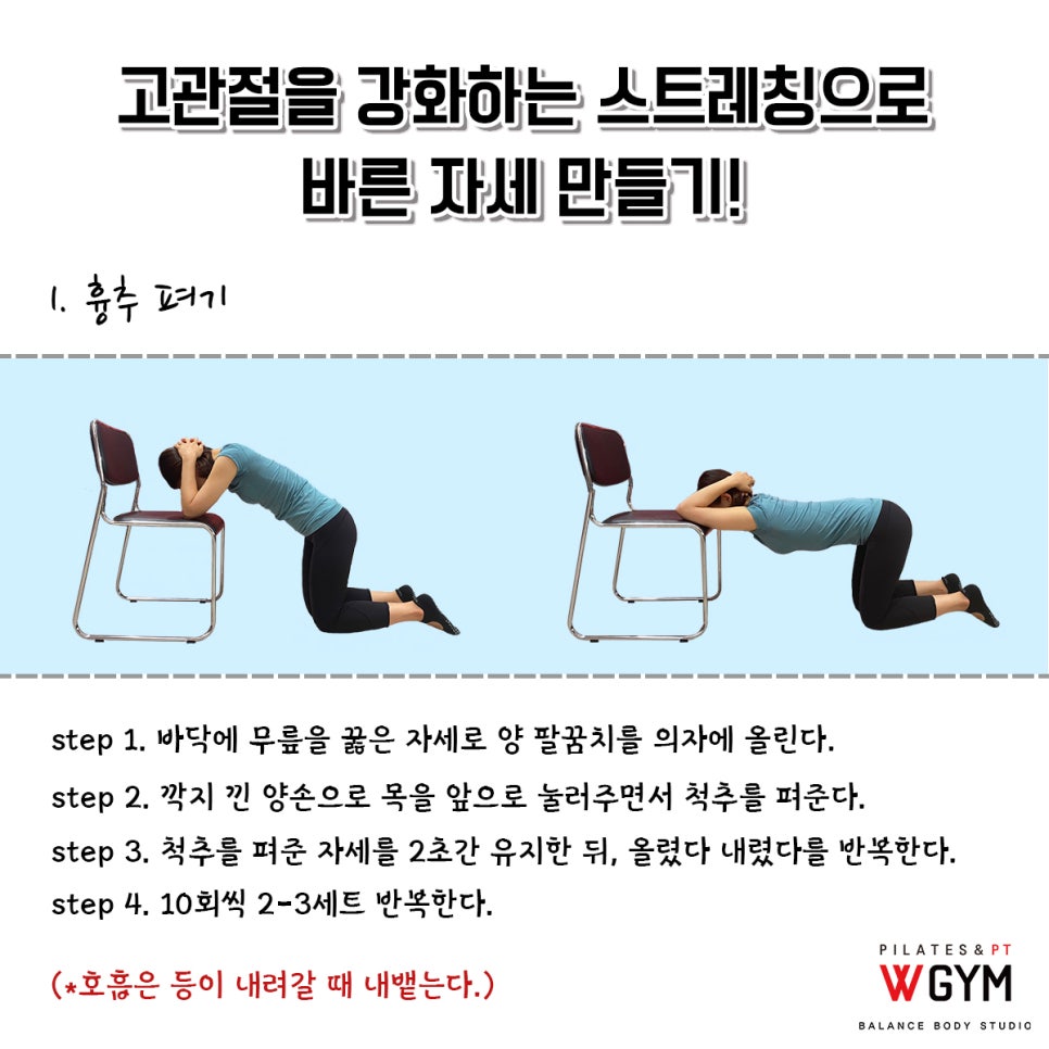 전신운동스트레칭 이미지