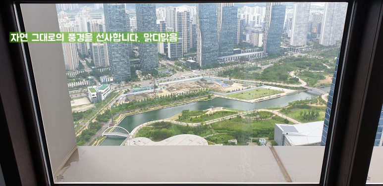 선명방역청소 이미지