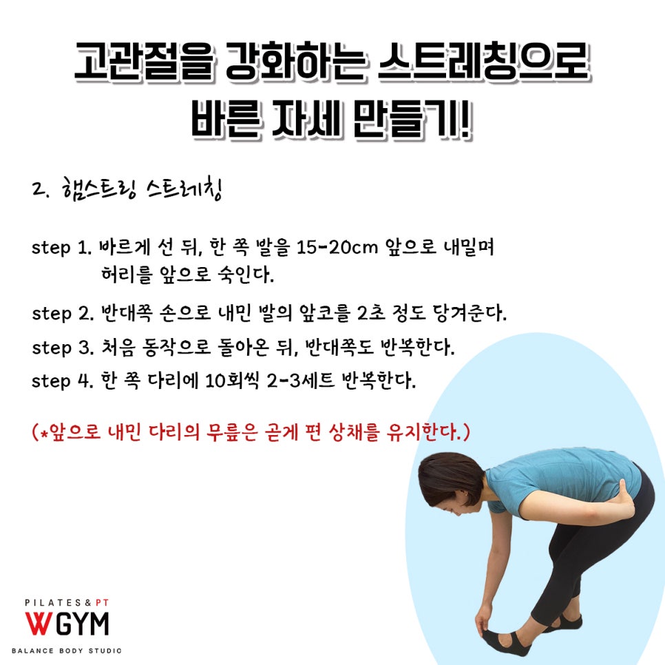 전신운동스트레칭 이미지