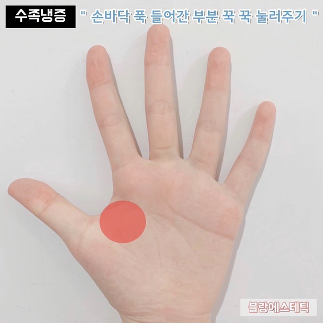 손에스테틱 이미지