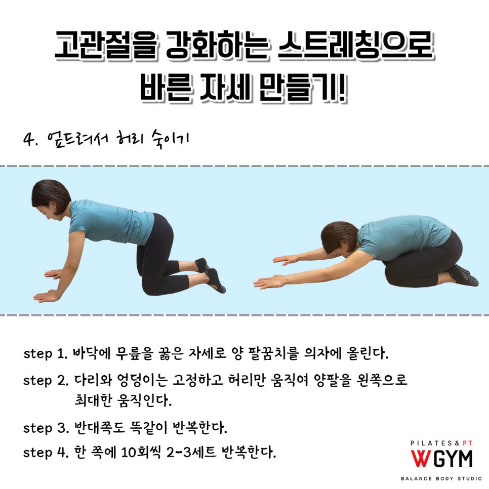 전신운동스트레칭 이미지