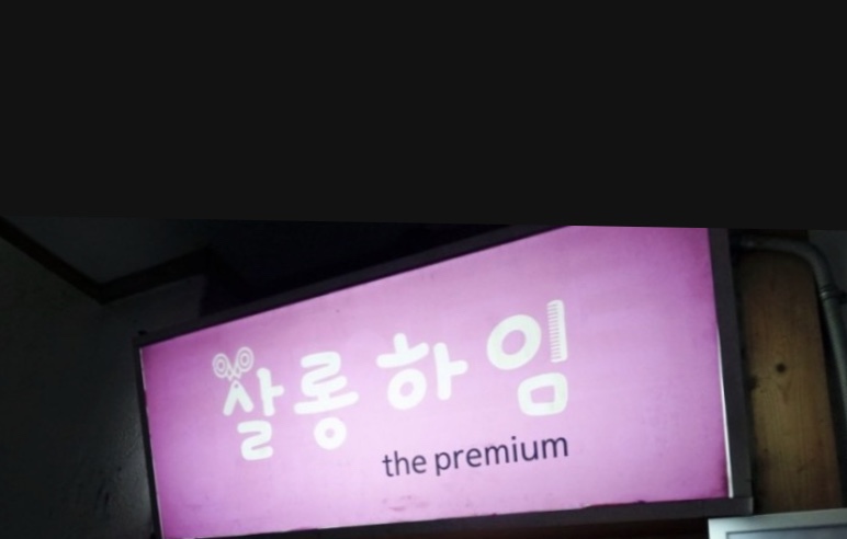 하임 염색 이미지