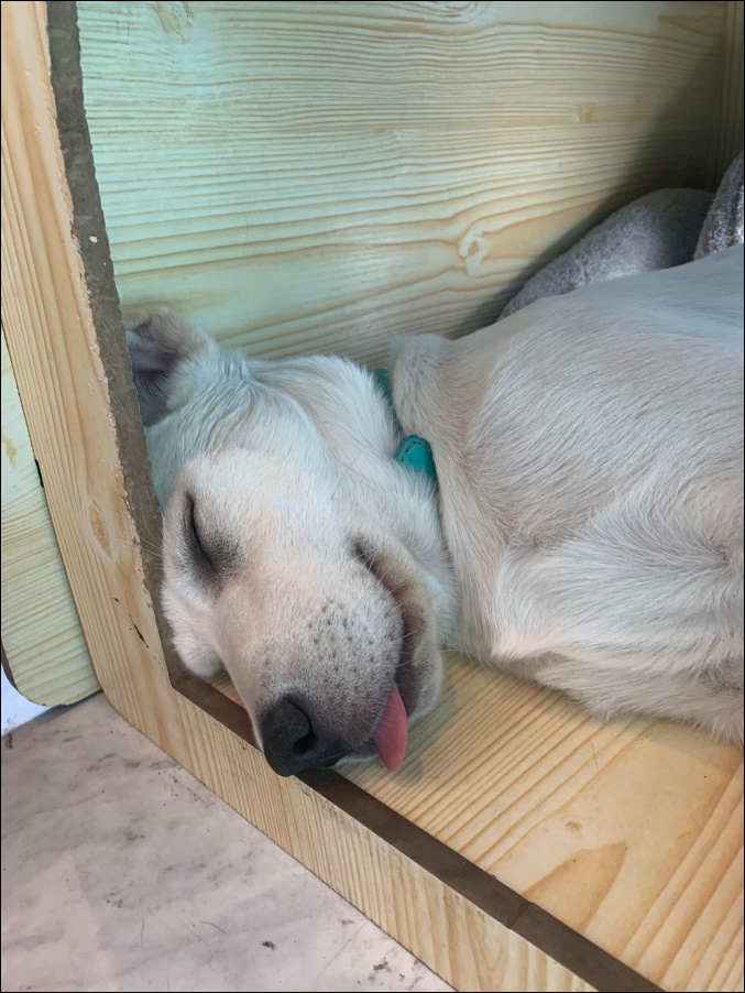 코리하우스 이미지