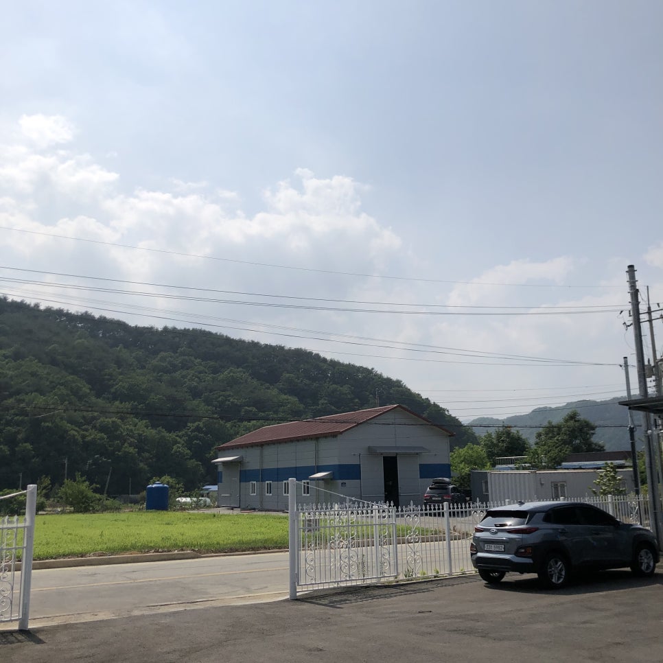 수니카페 이미지