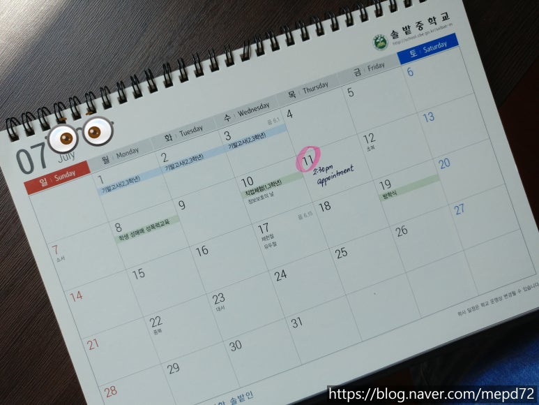 폴린디 이미지