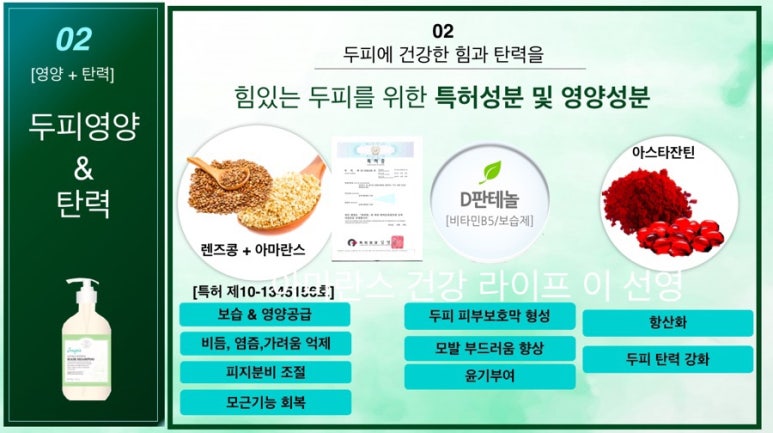 소노지아 이미지