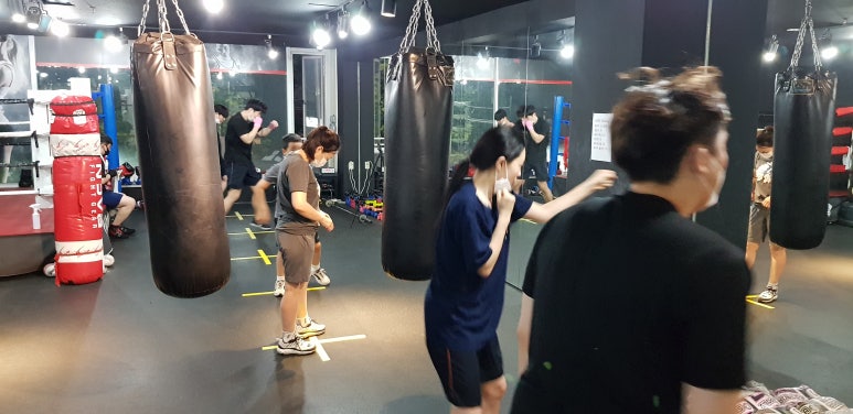 앨바트로휘트니스 이미지