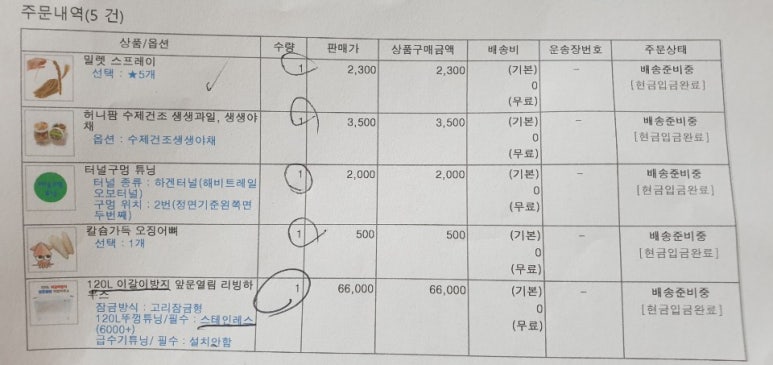 보라펫 이미지