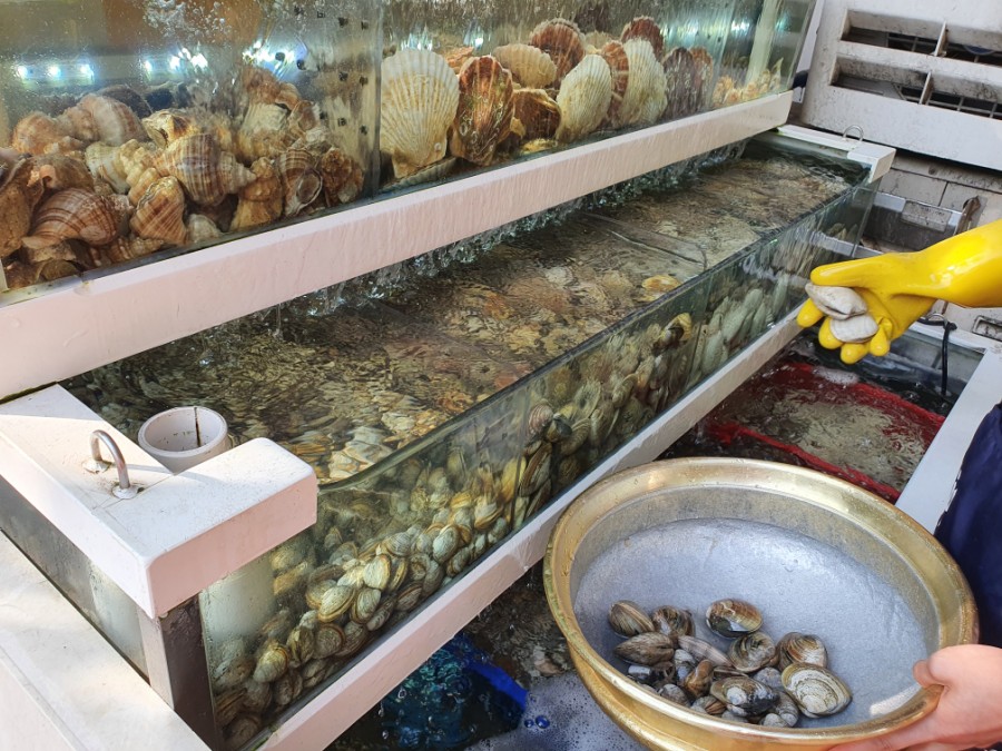 일산조개구이 이미지