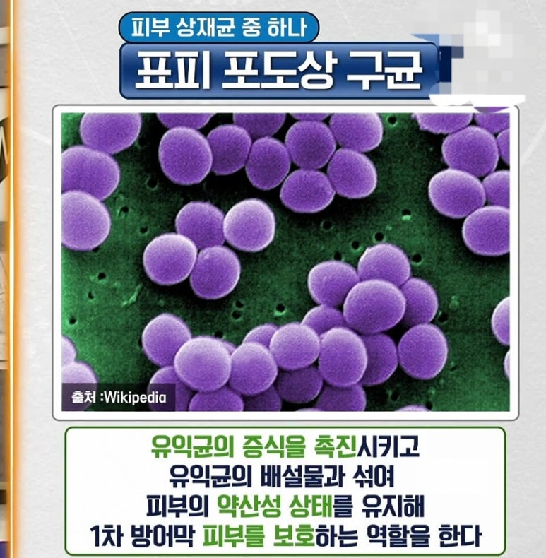 하나상재 이미지