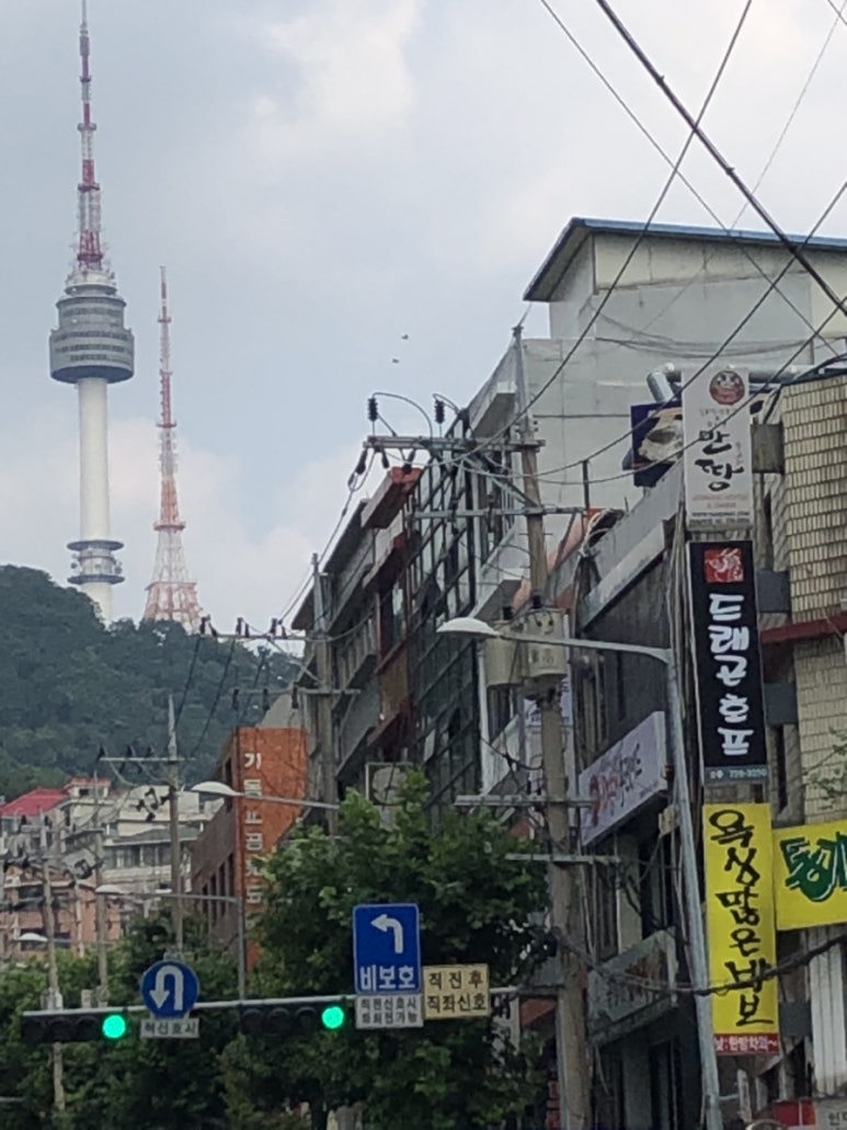욕심많은바보 이미지