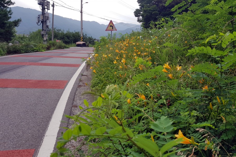 구례고등학교 이미지