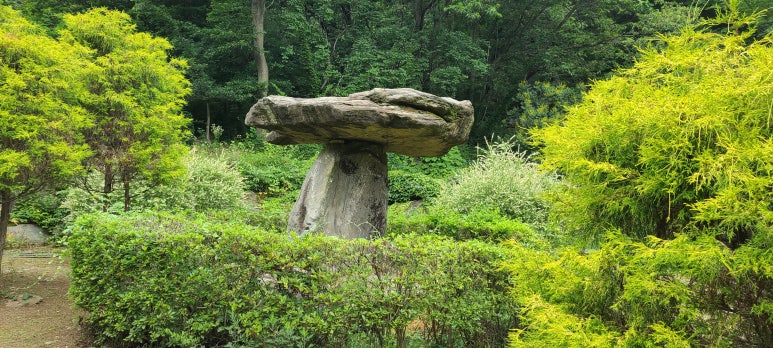 고인돌식물원 이미지