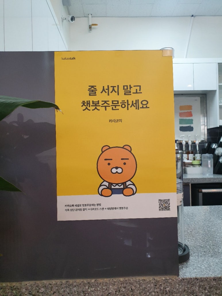 라라코지 이미지