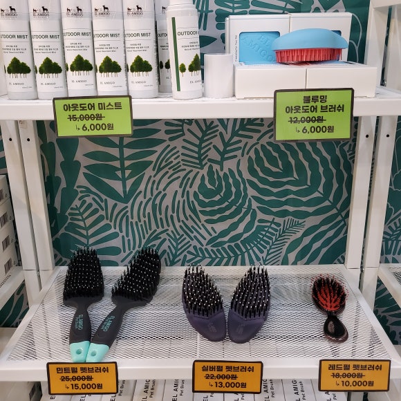 마이아미고 이미지