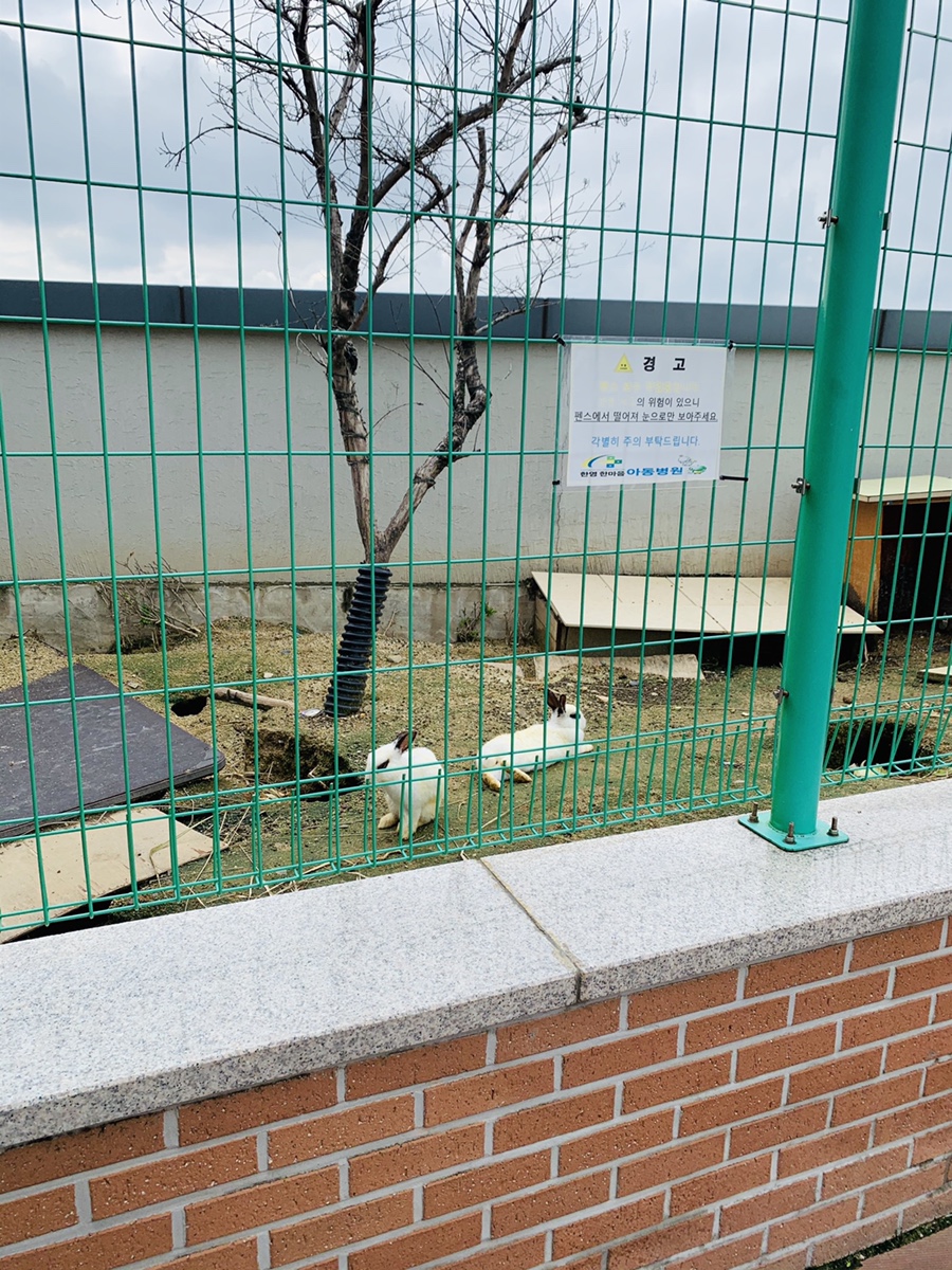 아이스크림특공대 이미지