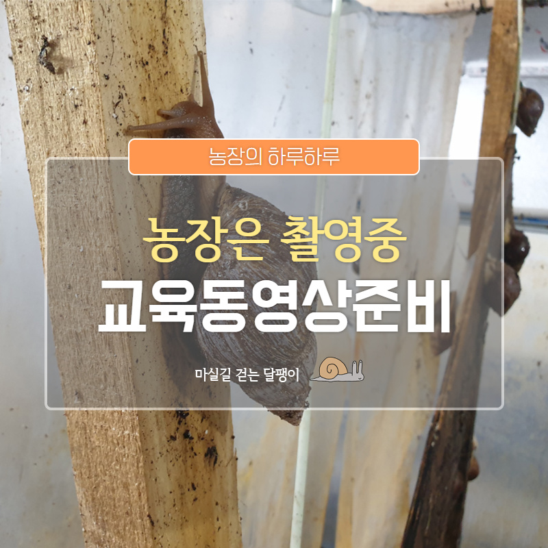 마실길 걷는 달팽이 농장 이미지