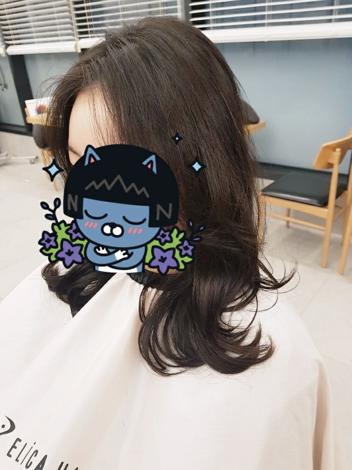에리카헤어 이미지