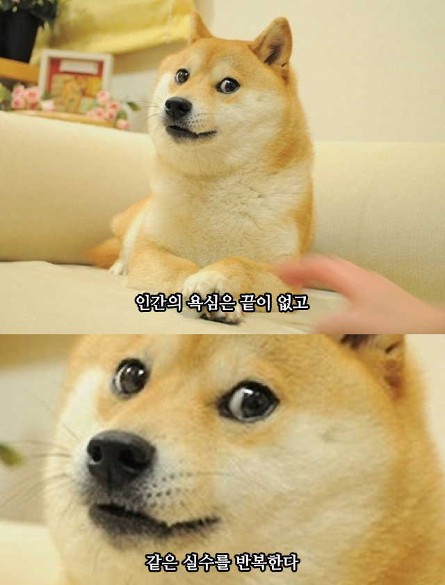 냠냠 이미지