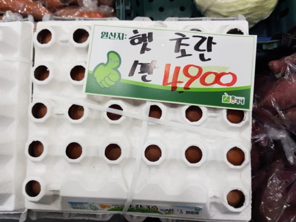 총각네수지 이미지