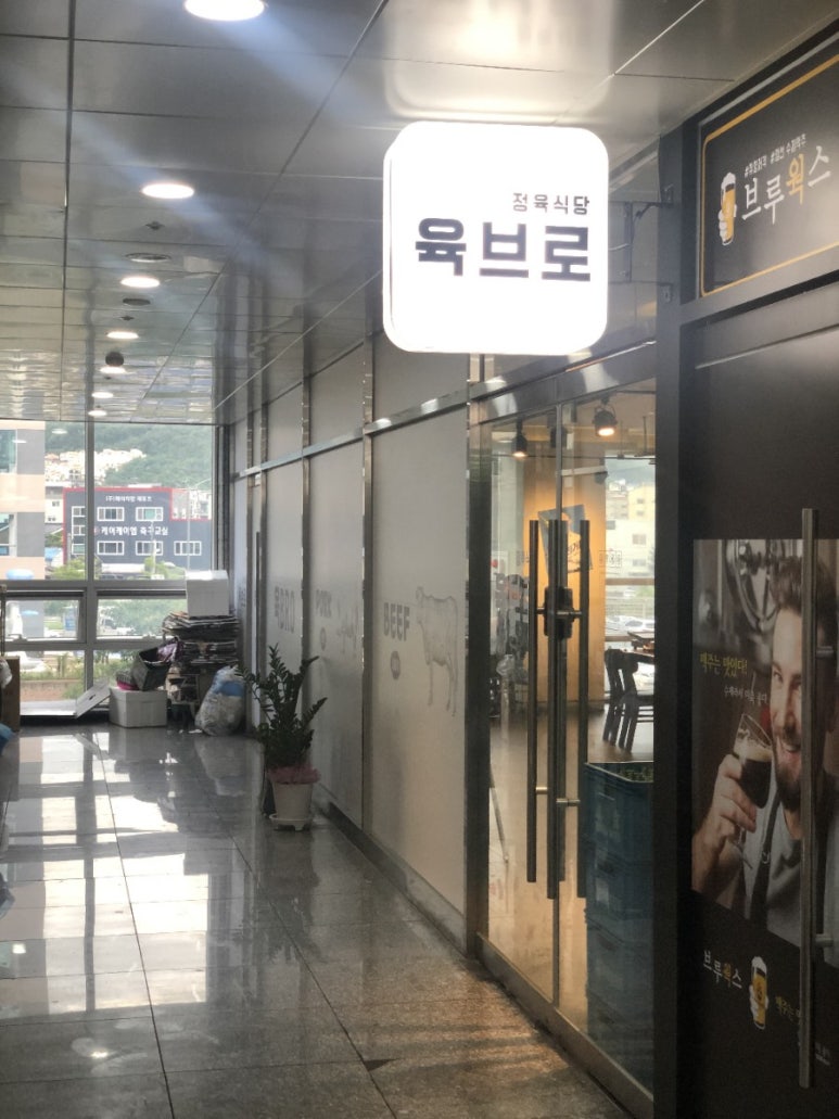 육브로 이미지