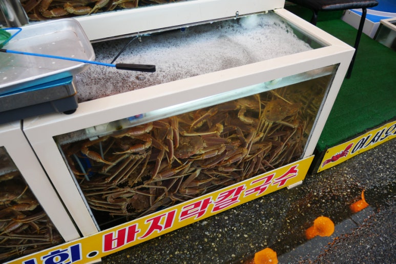 경포대횟집 이미지