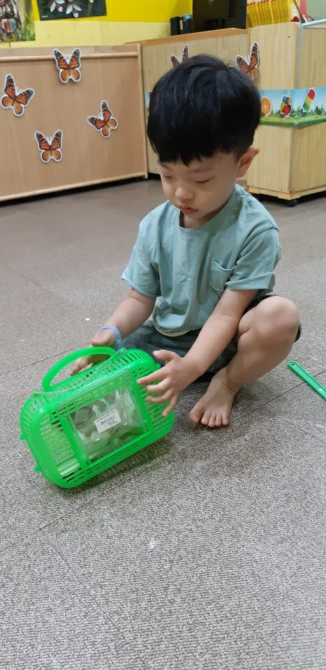 크레아트 이미지