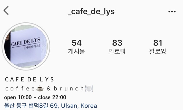 카페드리스 이미지