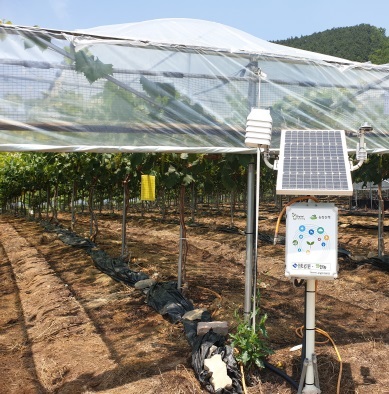 주식회사 팜한농 이미지