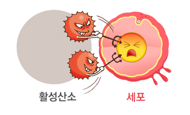 리벌스 이미지