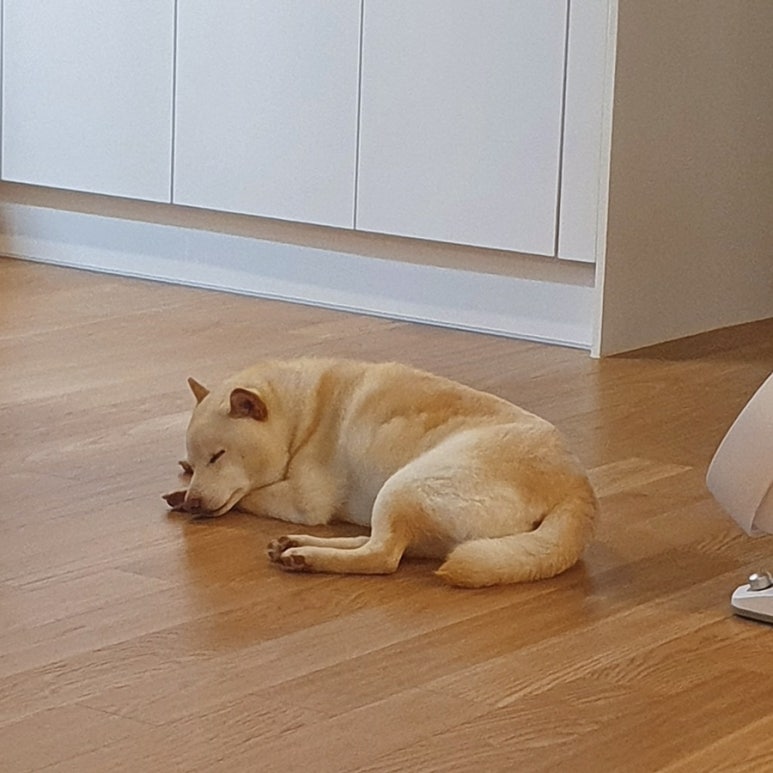 창연건축인테리어 이미지