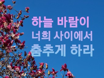 챤스 이미지