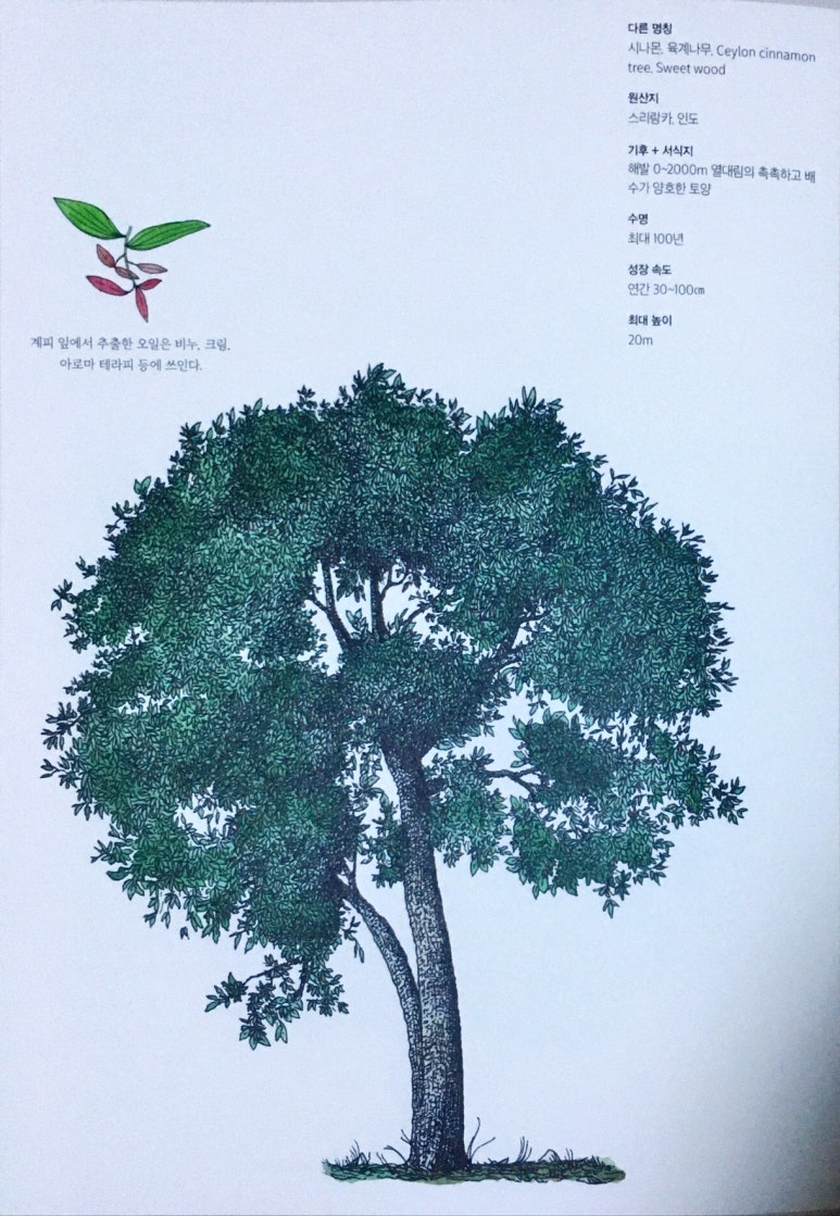 한즈 이미지