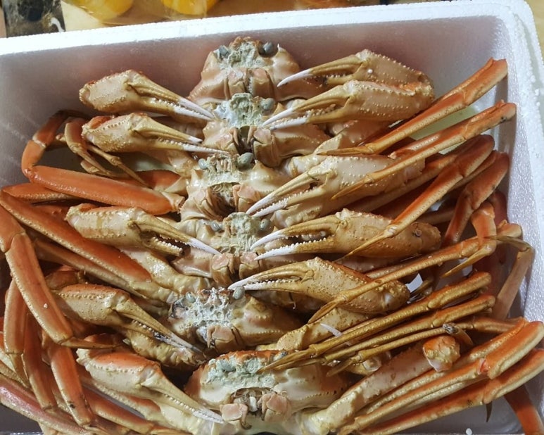 대게요리해저도시 이미지