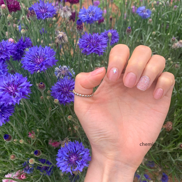 네일이찌 이미지