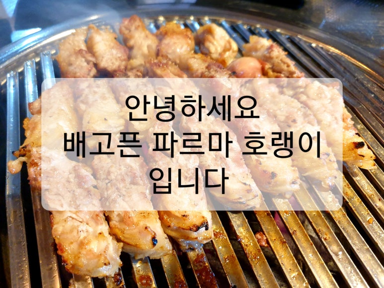 아랫장치과 이미지