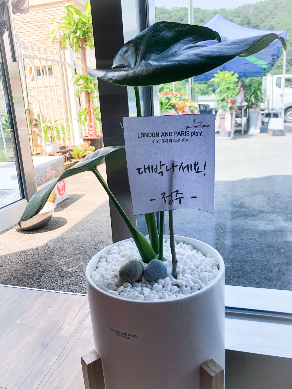 수니카페 이미지