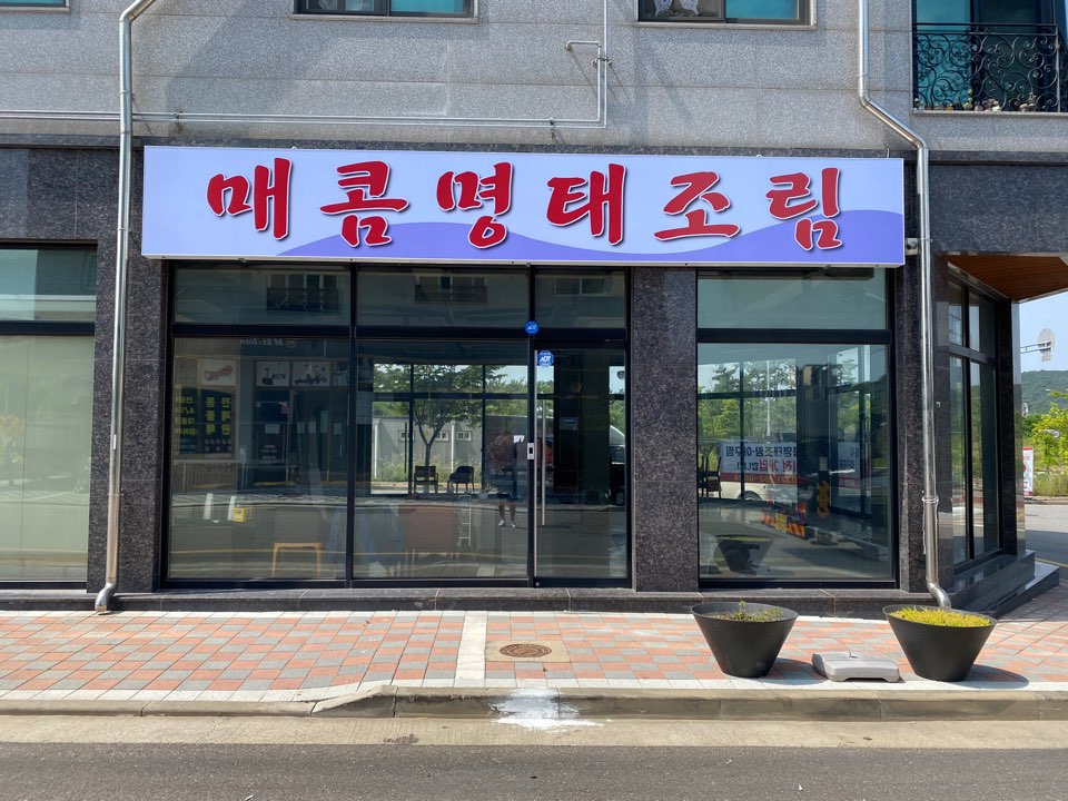 명태혁명 이미지