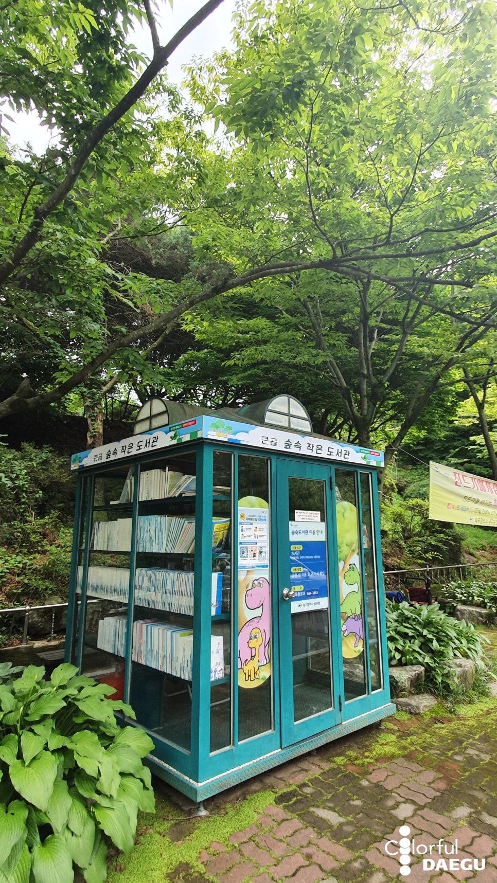 대구숲체험협동조합 이미지