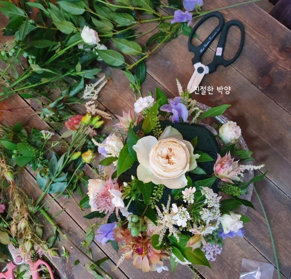 디망쉬플레르 이미지
