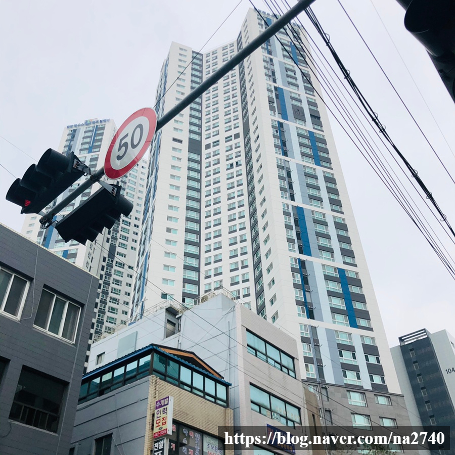 라디에이스 이미지
