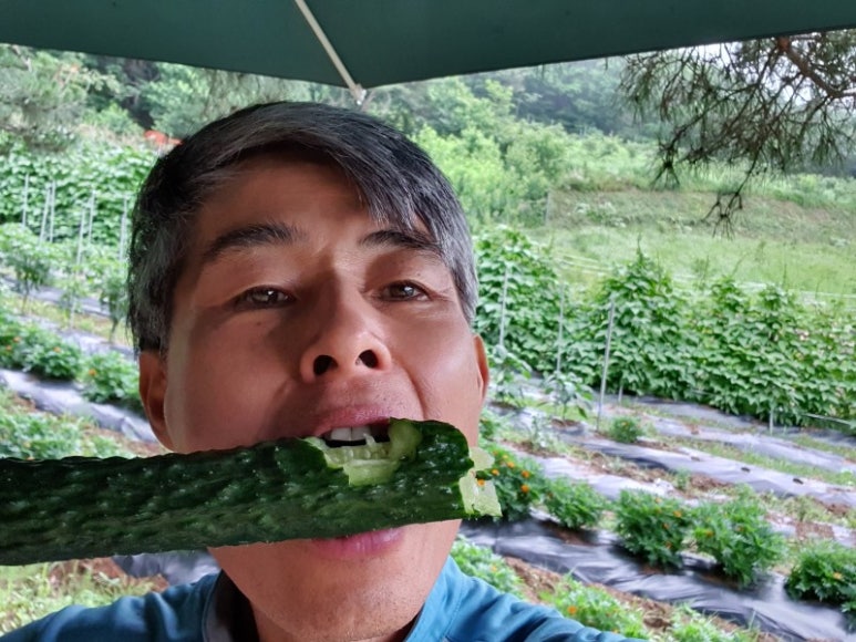 산들로 이미지