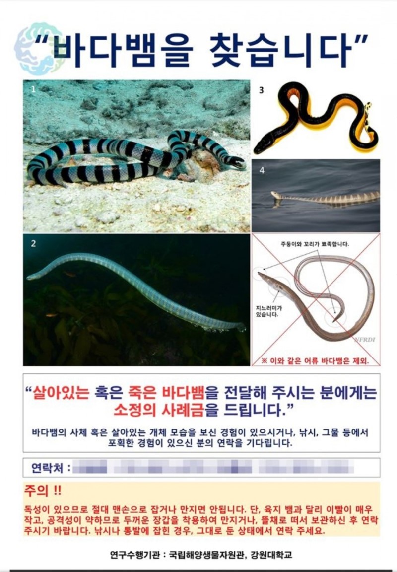 슈퍼낚시 이미지