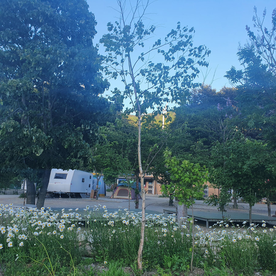 백담설화캠핑장 이미지