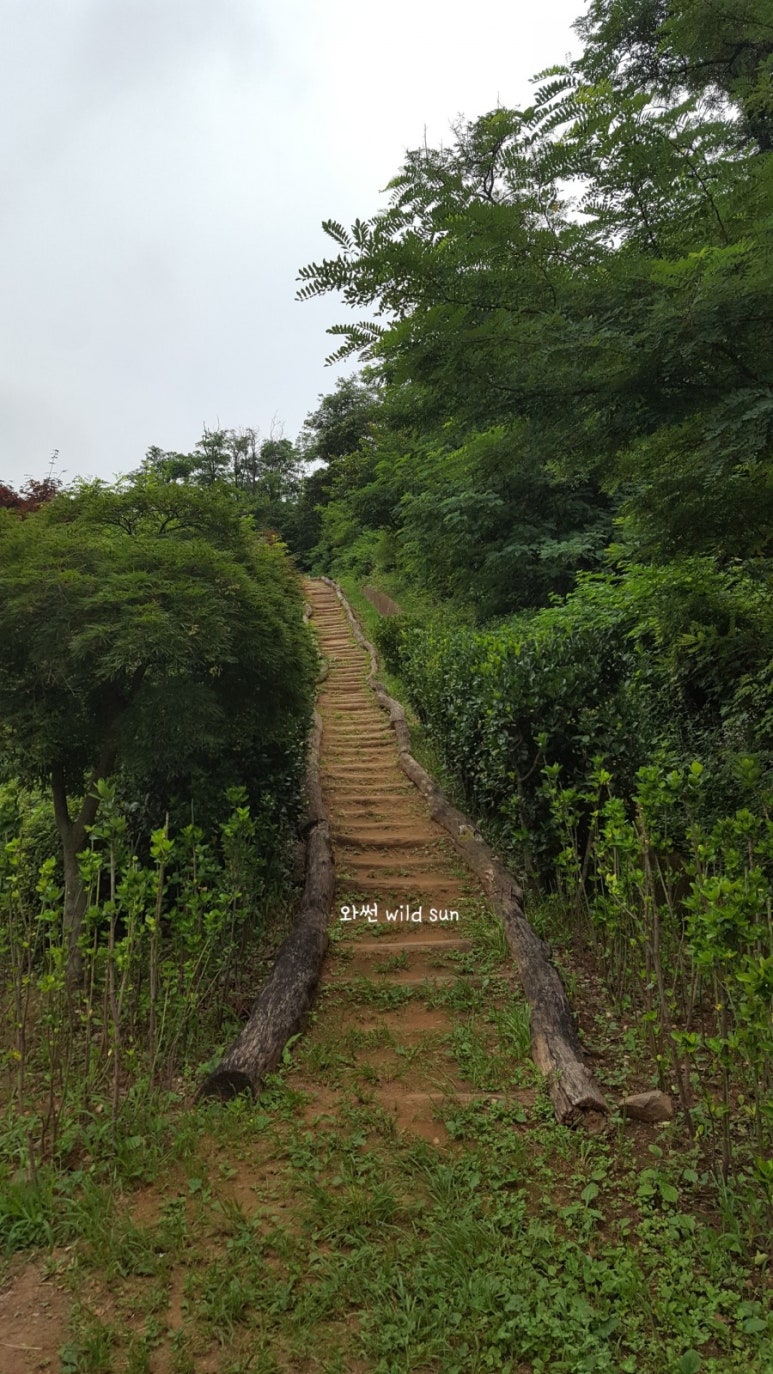 슈웨제네거 이미지