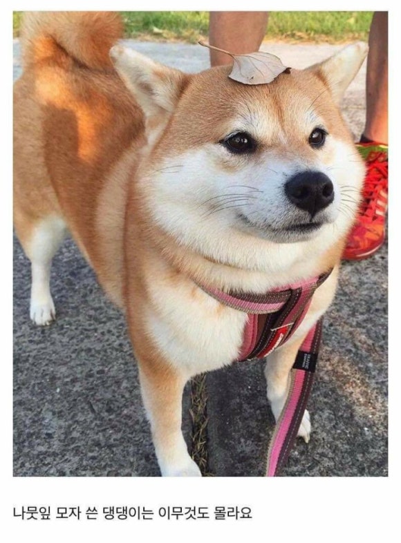 칠곡커피 이미지
